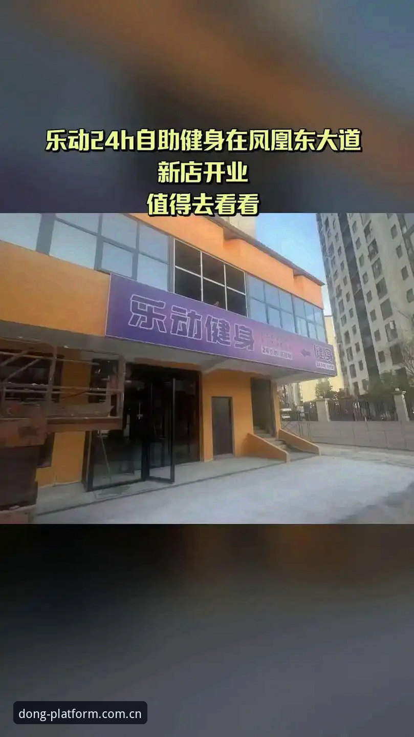 乐动体育手机版体验详解：从注册到最新版本的功能解析
