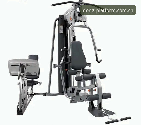 乐动体育在线体育平台选择指南：从下载到实战的完整攻略