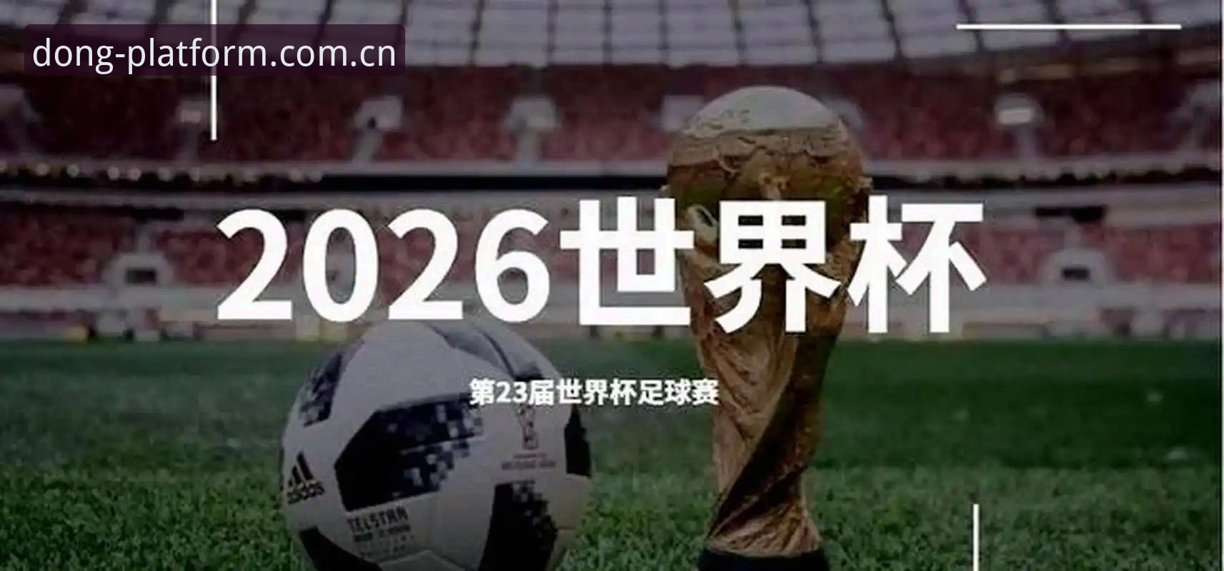 资深用户分享：从世界杯扩军计划看国足机遇，乐动体育平台观赛心得
